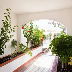 1 Bedroom For 4 People In Tenerife Apartamento Costa Adeje (Tenerife)